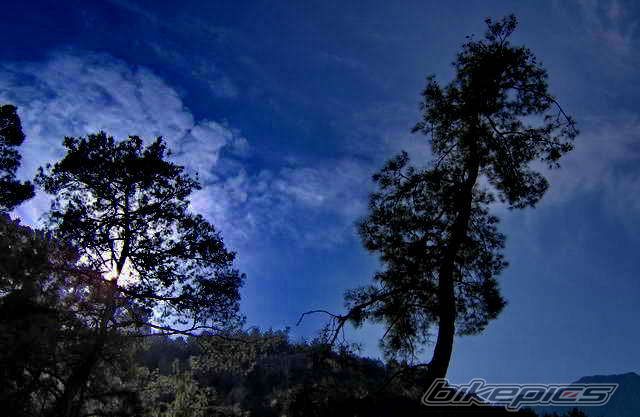 Photo 705376