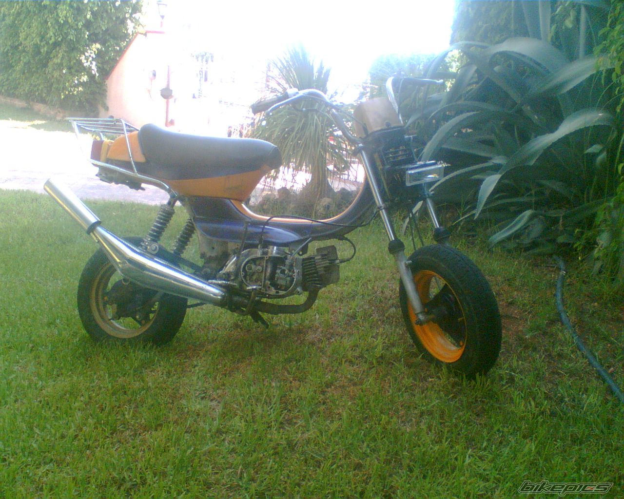 Photo 705743