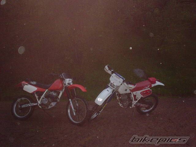 Bike Photo 70625