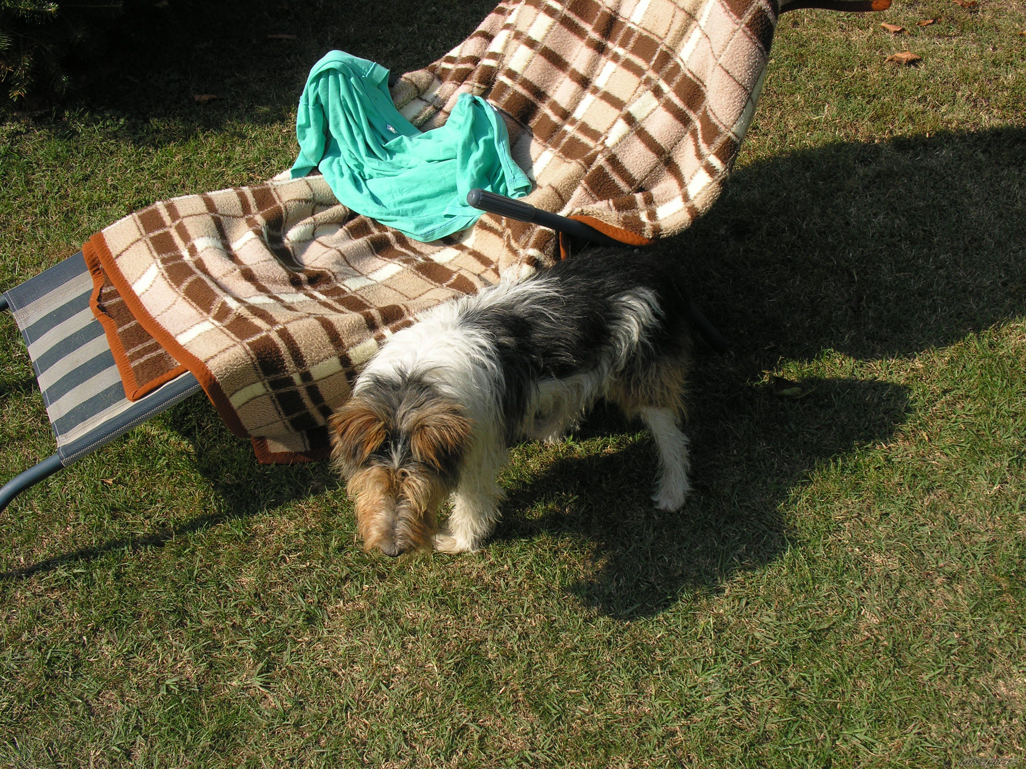Photo 706315