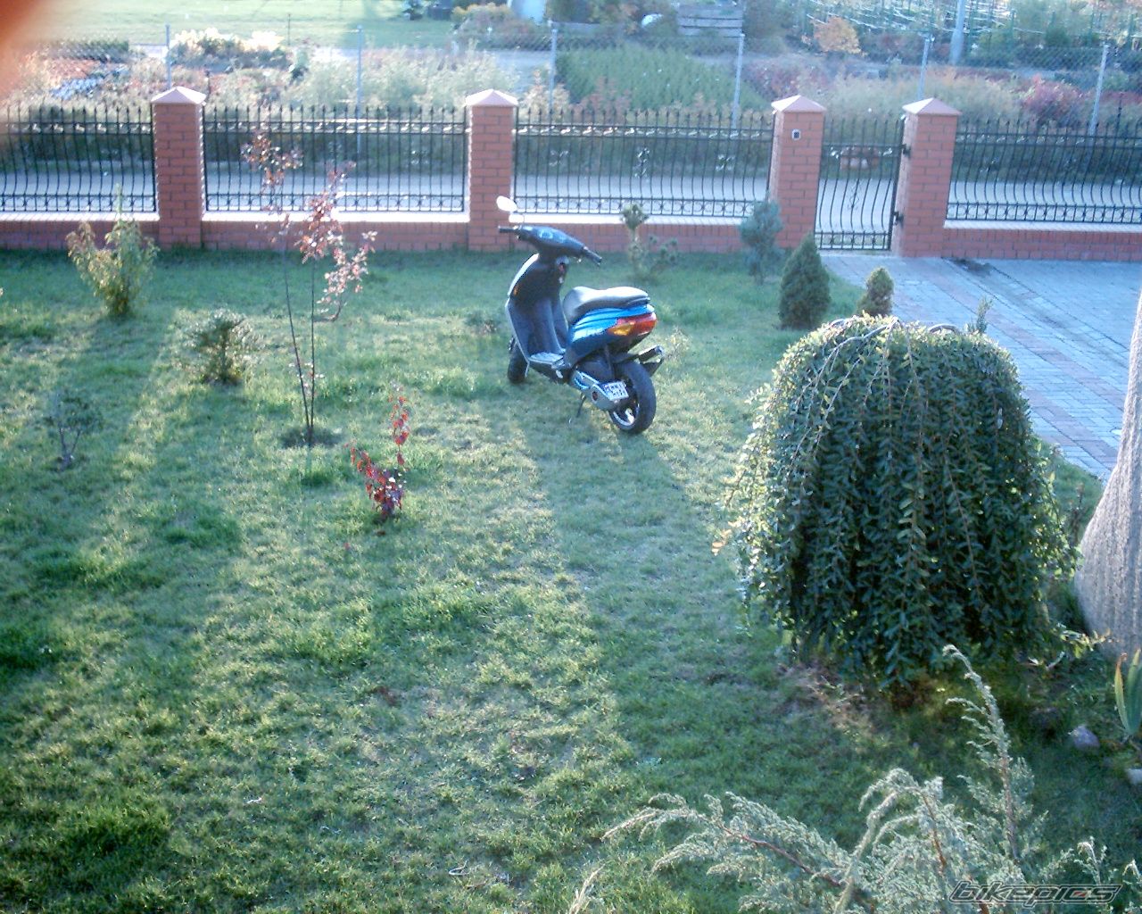 Photo 707295