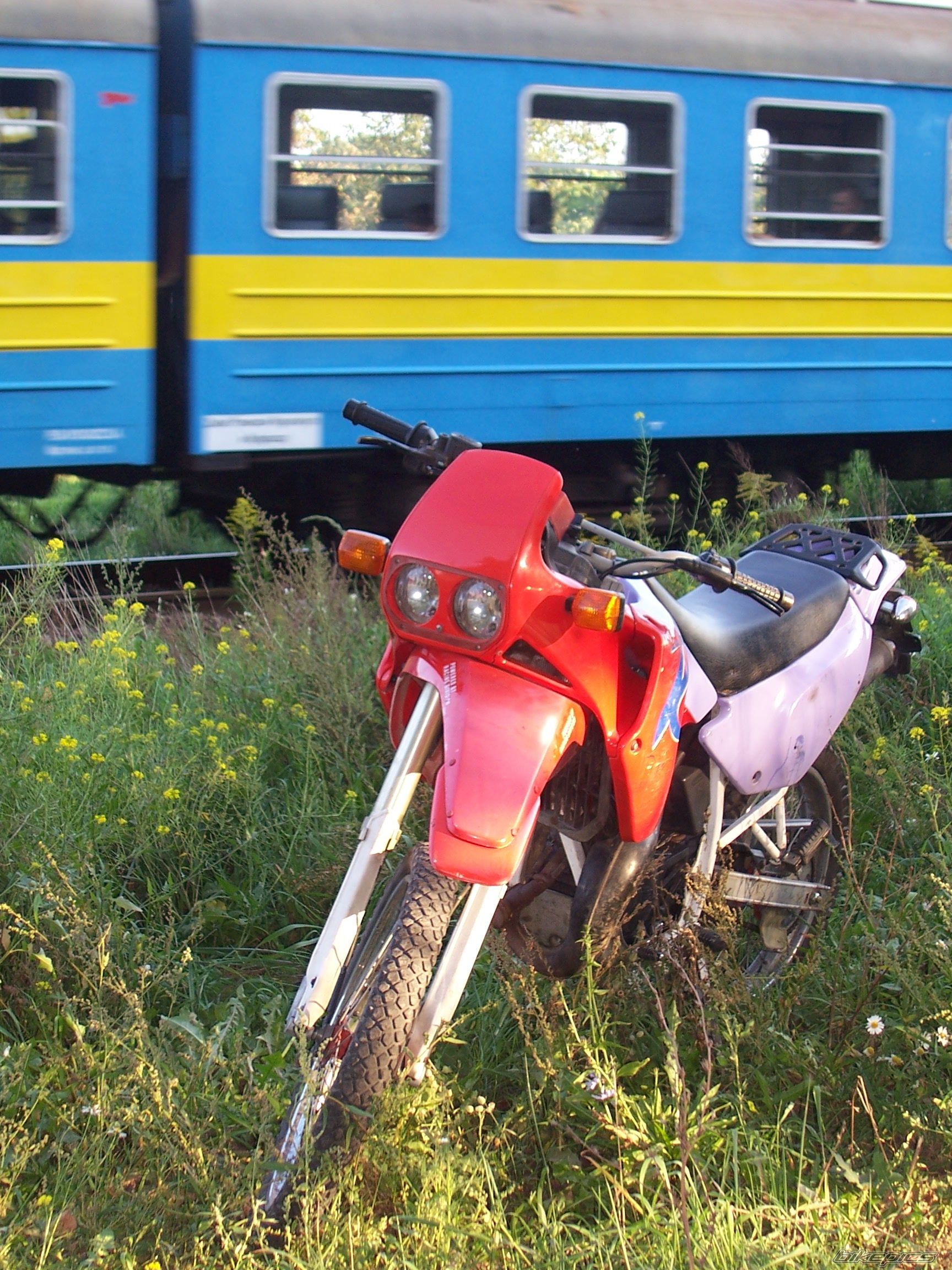 Photo 707409