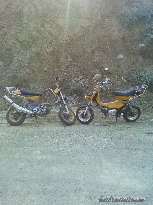 Photo 707464