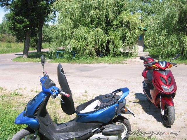 Photo 707655