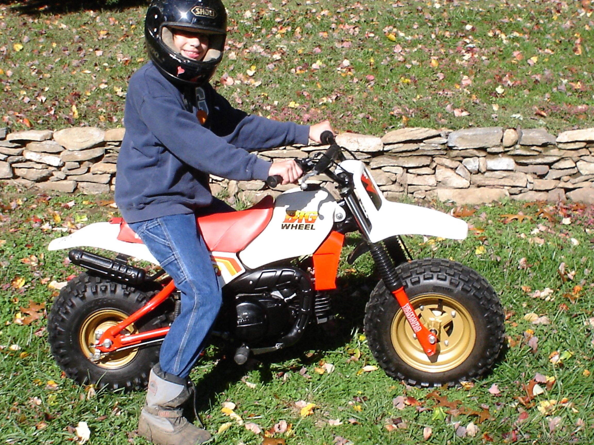 Photo 707899