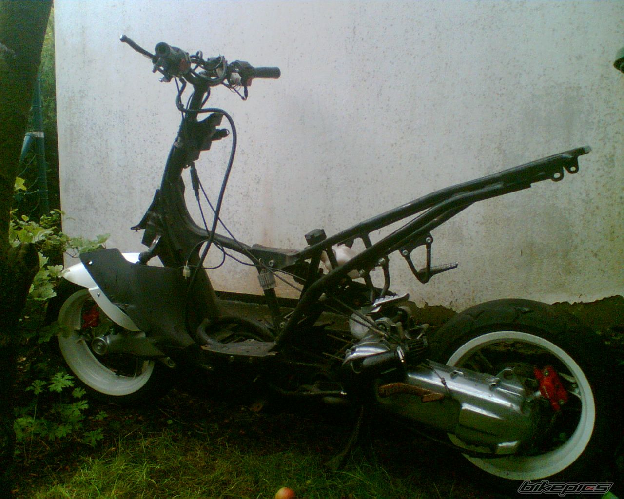Photo 708120