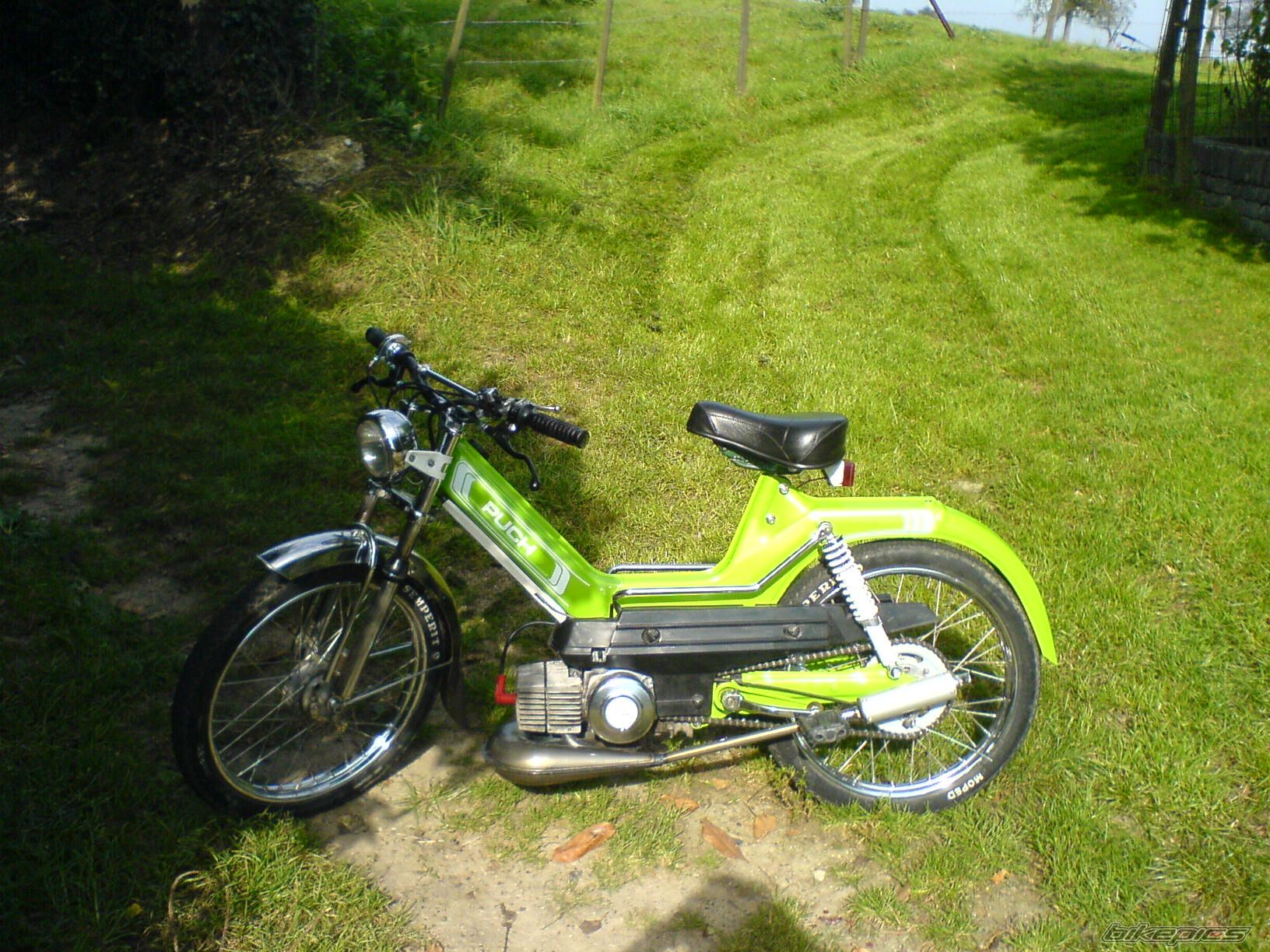 Photo 708221