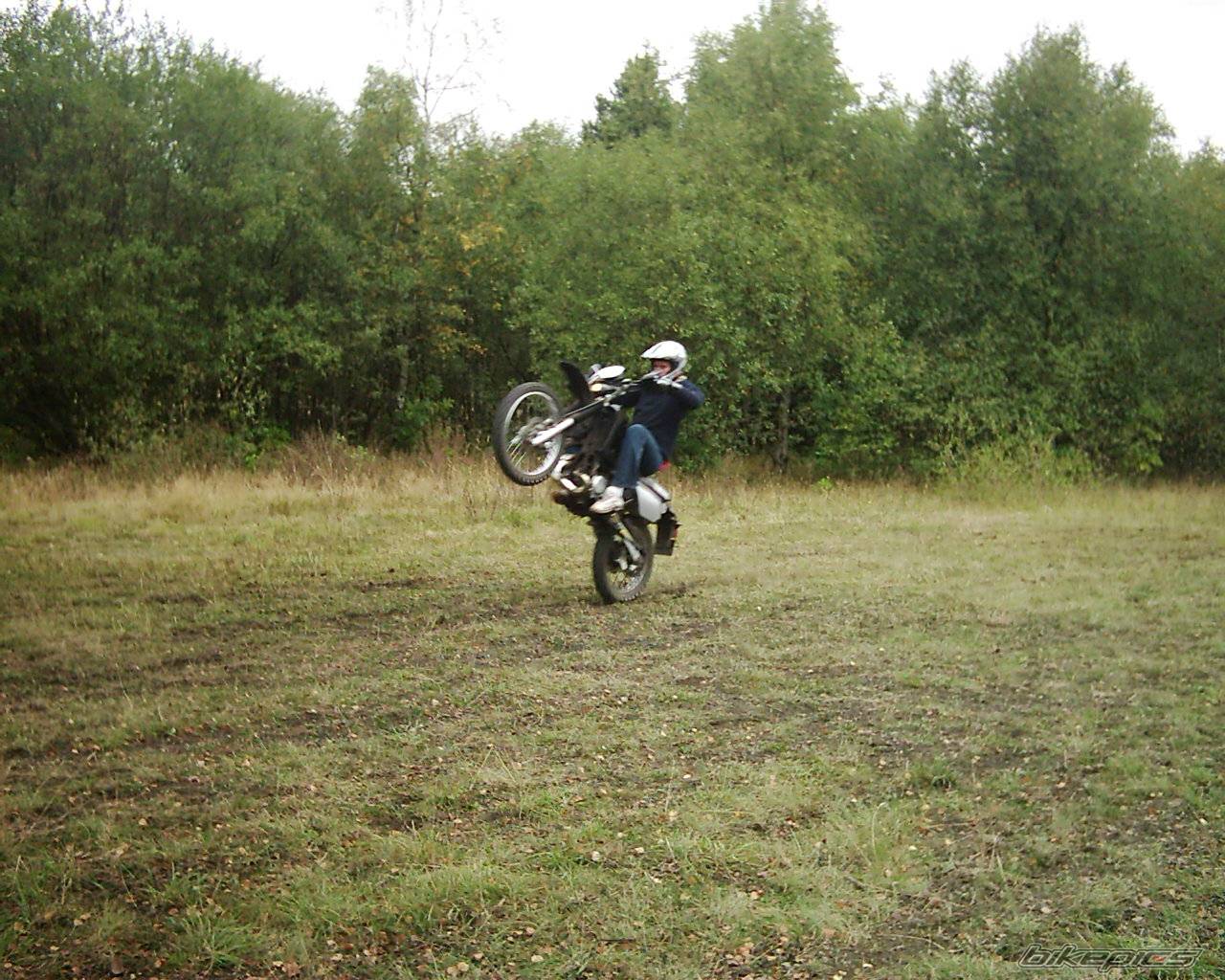 Photo 70828