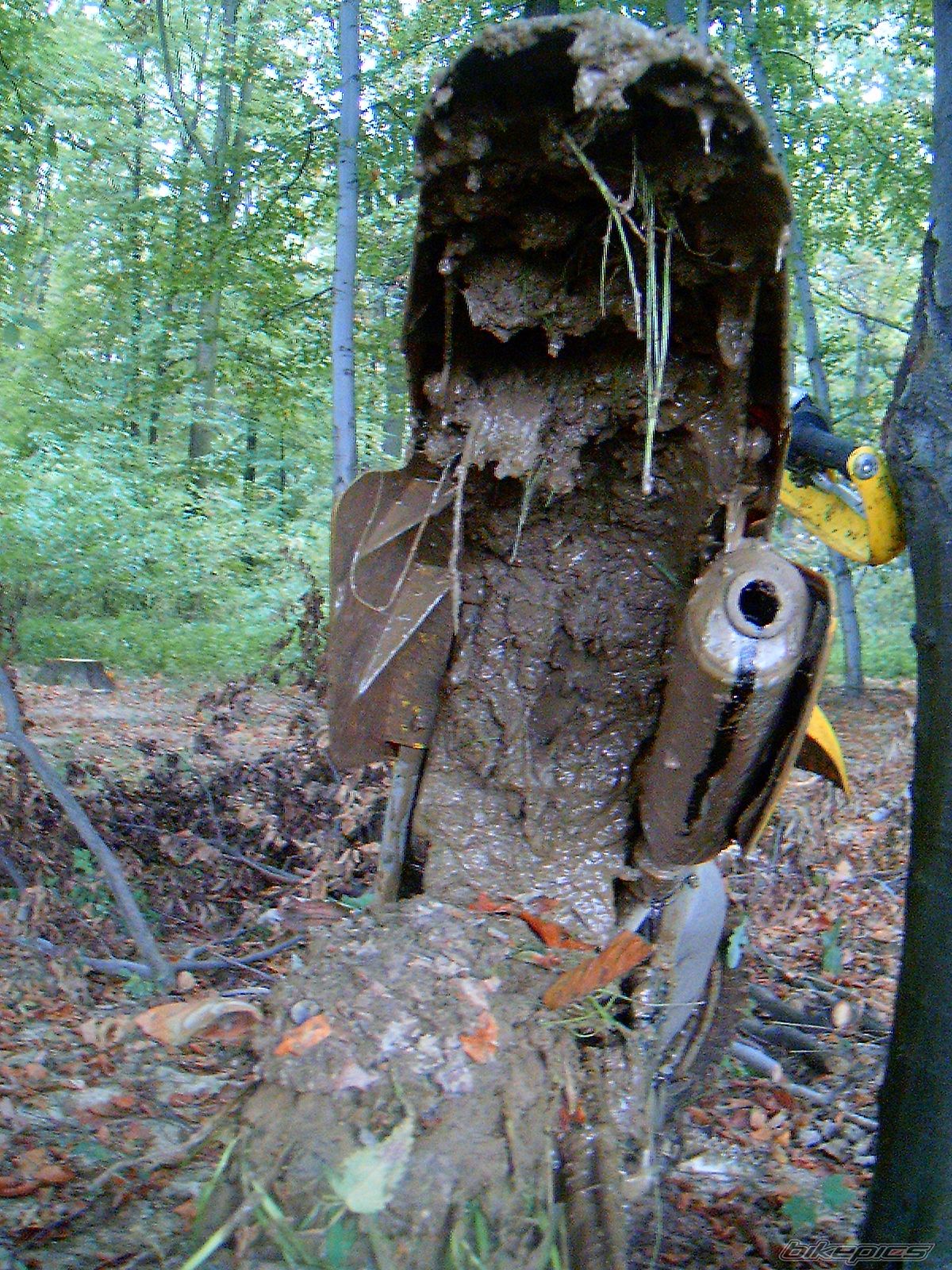 Photo 708417