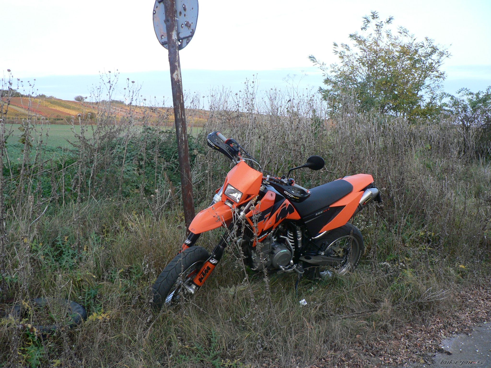 Photo 708580