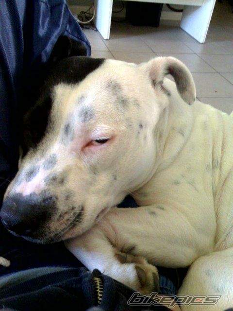 Photo 708710
