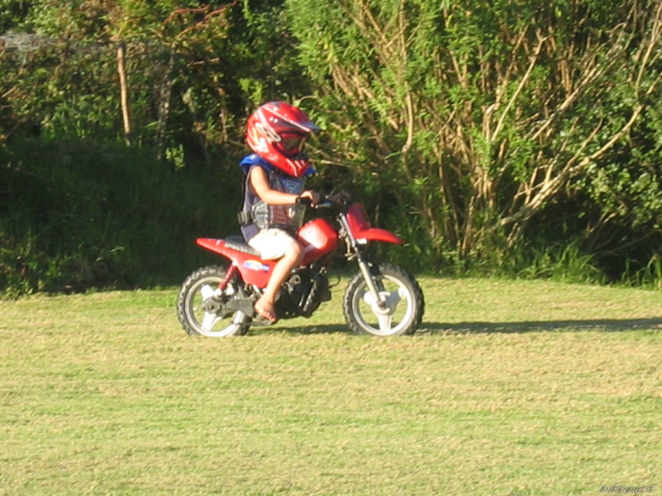Photo 709070