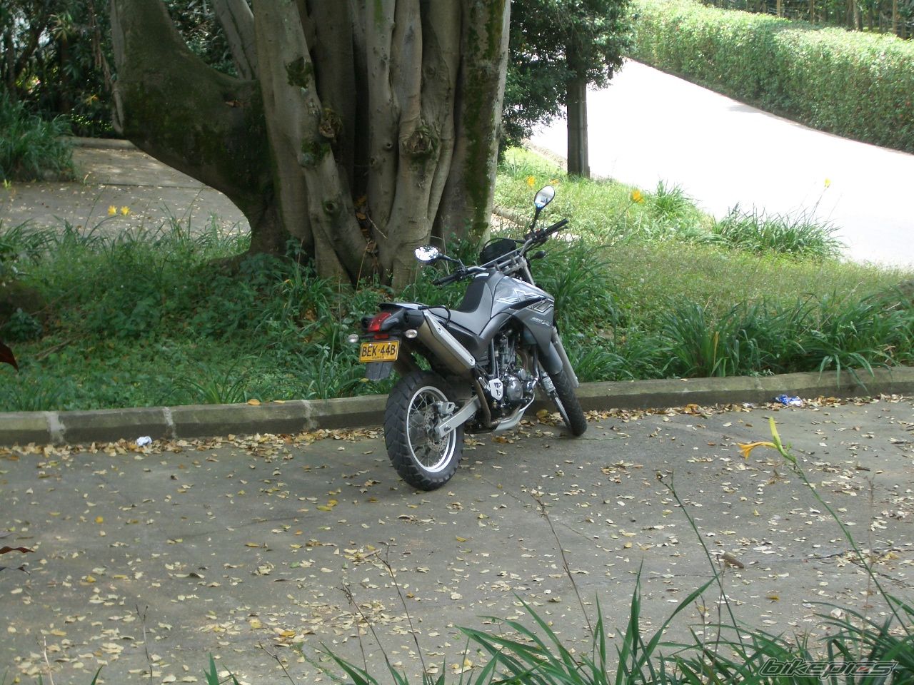 Bike Photo 709098