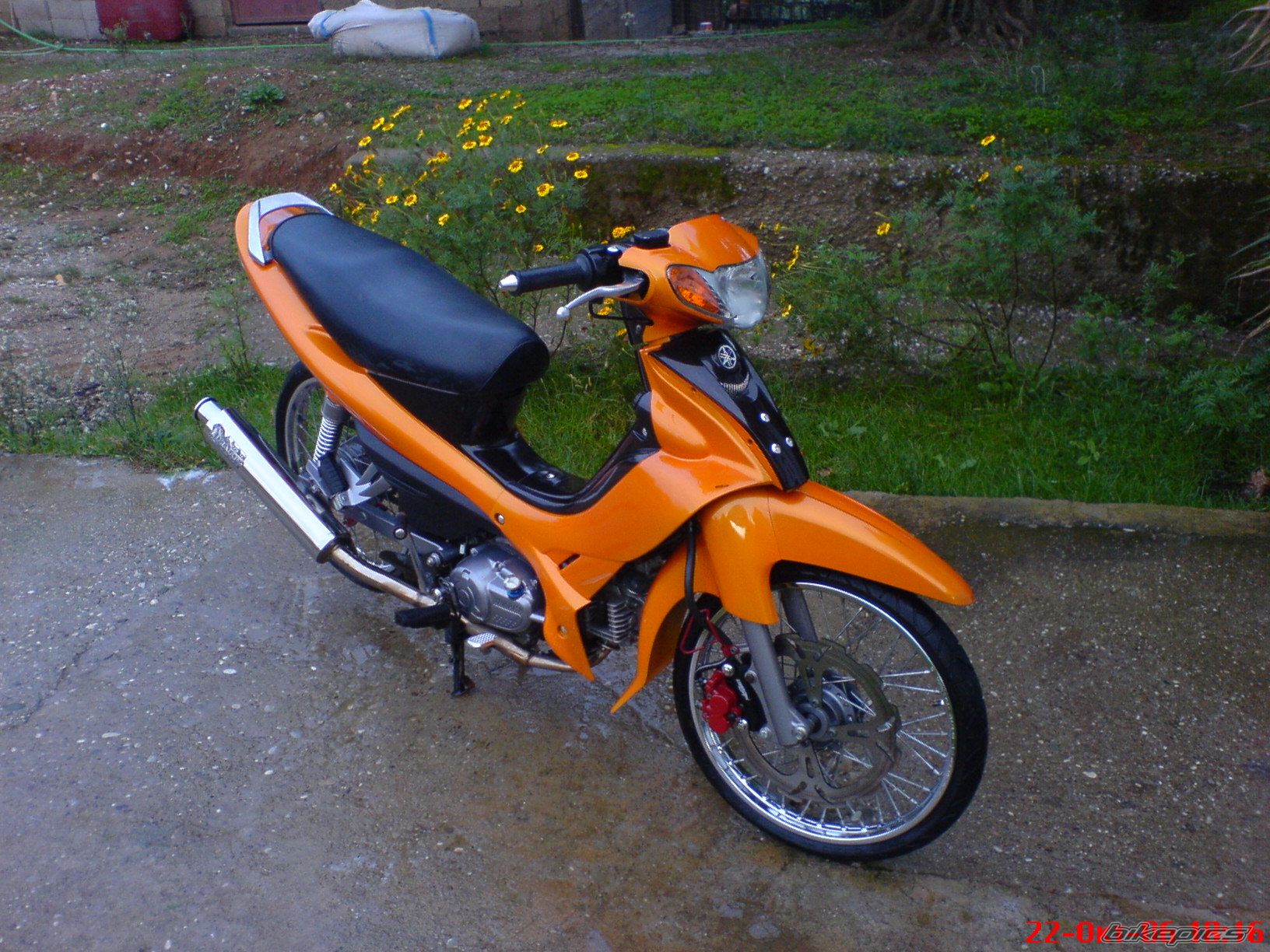 Photo 709176