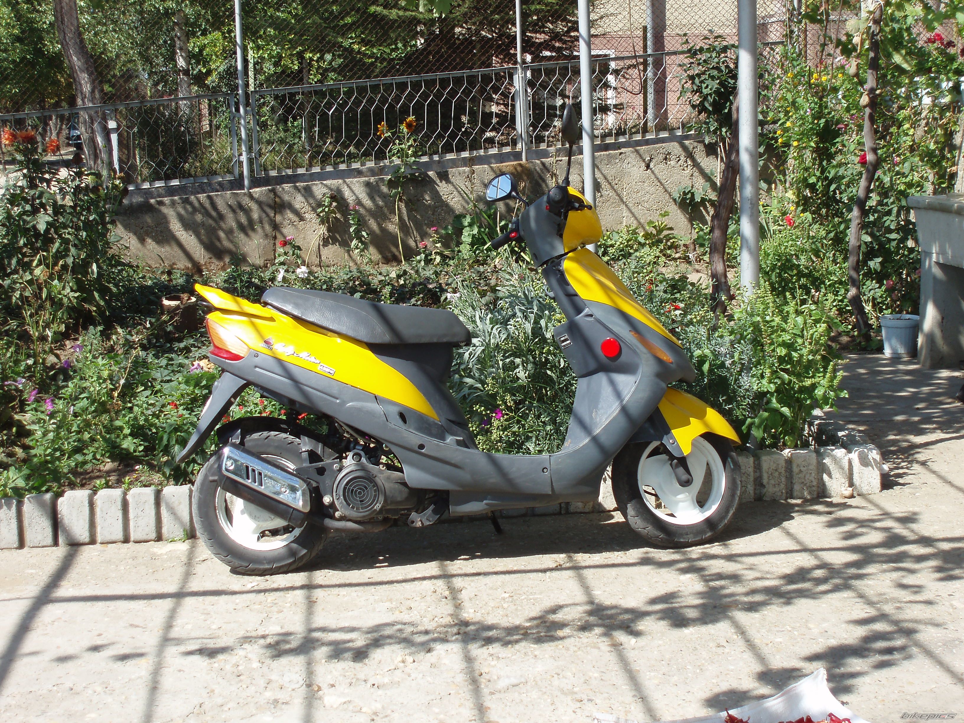 Photo 709203