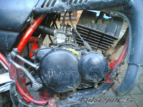 Bike Photo 709247