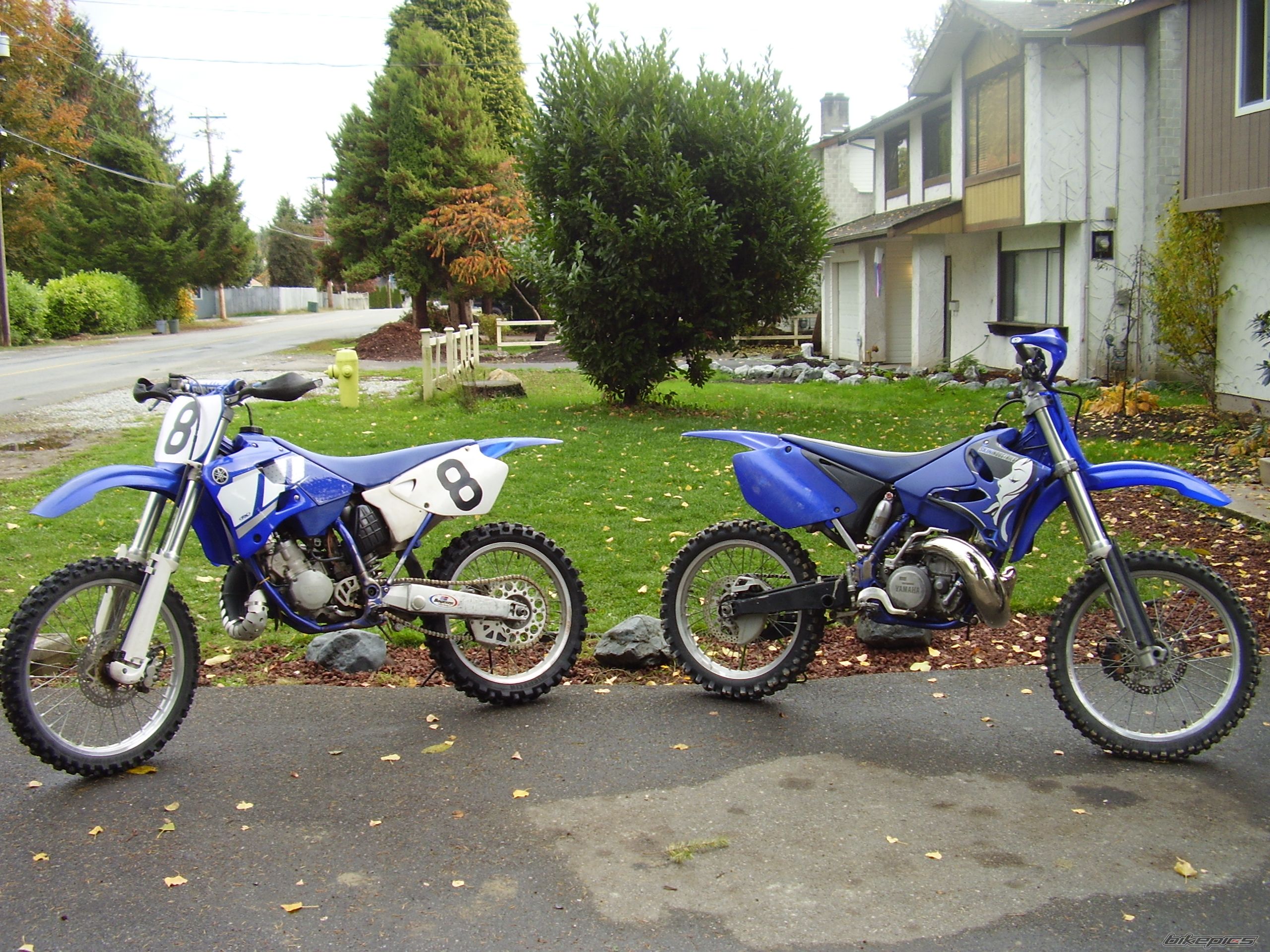 Photo 709401