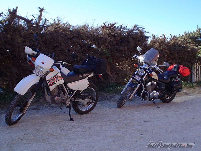Photo 709451