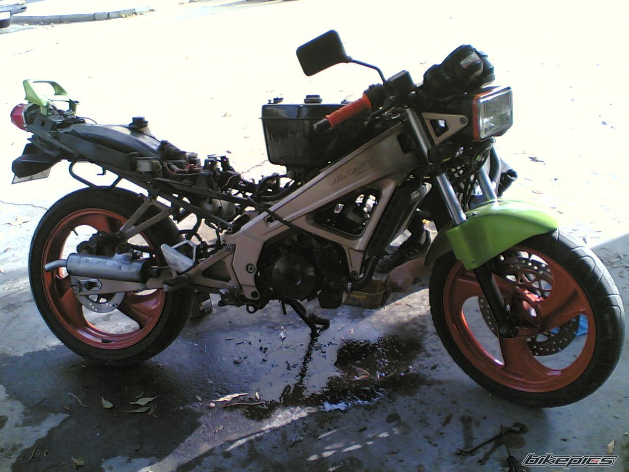 Photo 709663