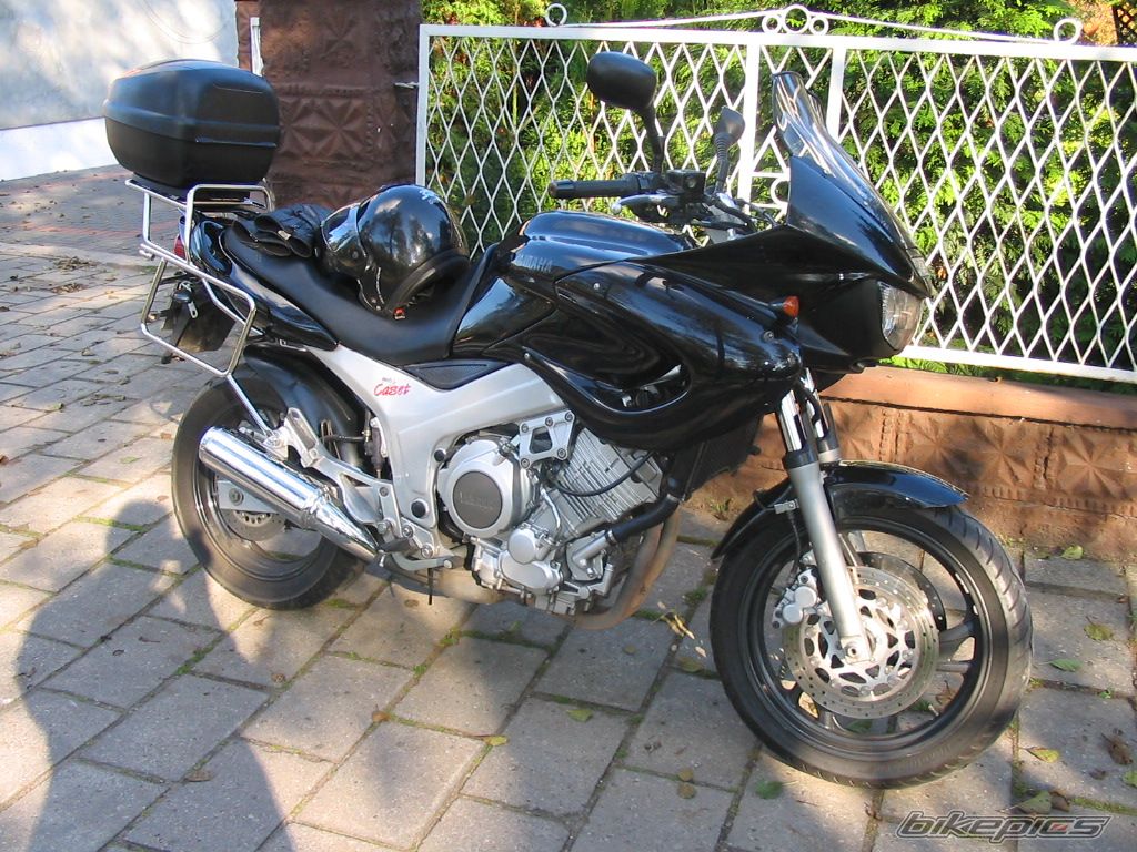 Photo 709690