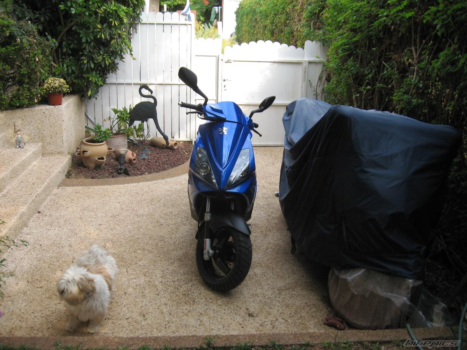 Photo 709795