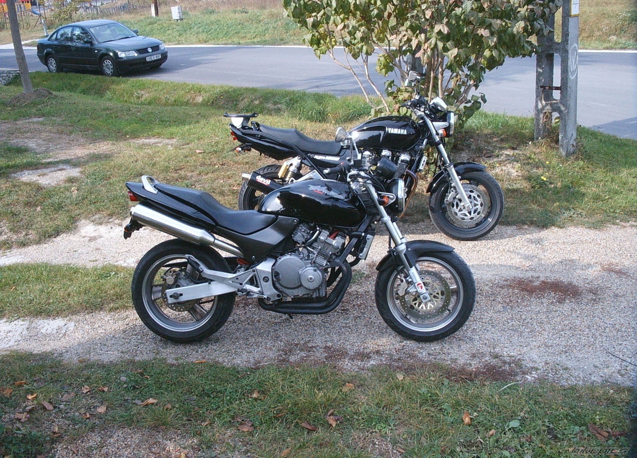 Photo 709801