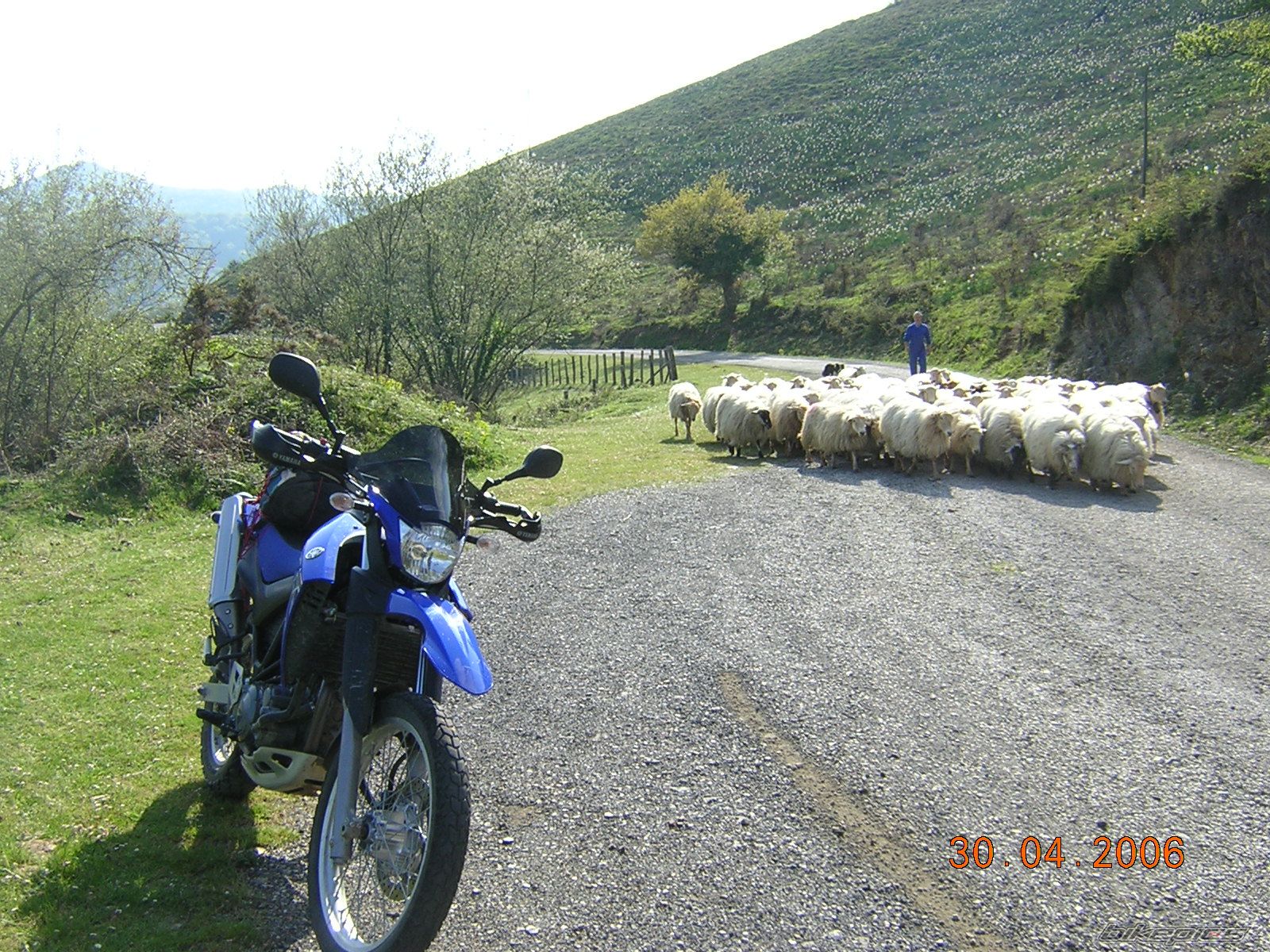 Bike Photo 709909
