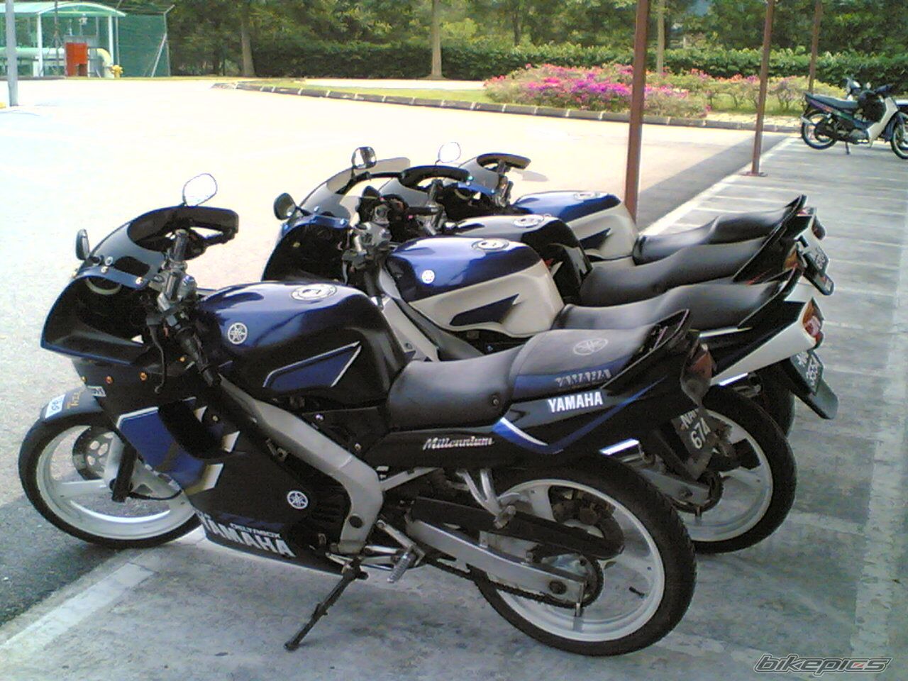 Photo 710073
