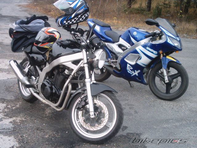 Photo 710277