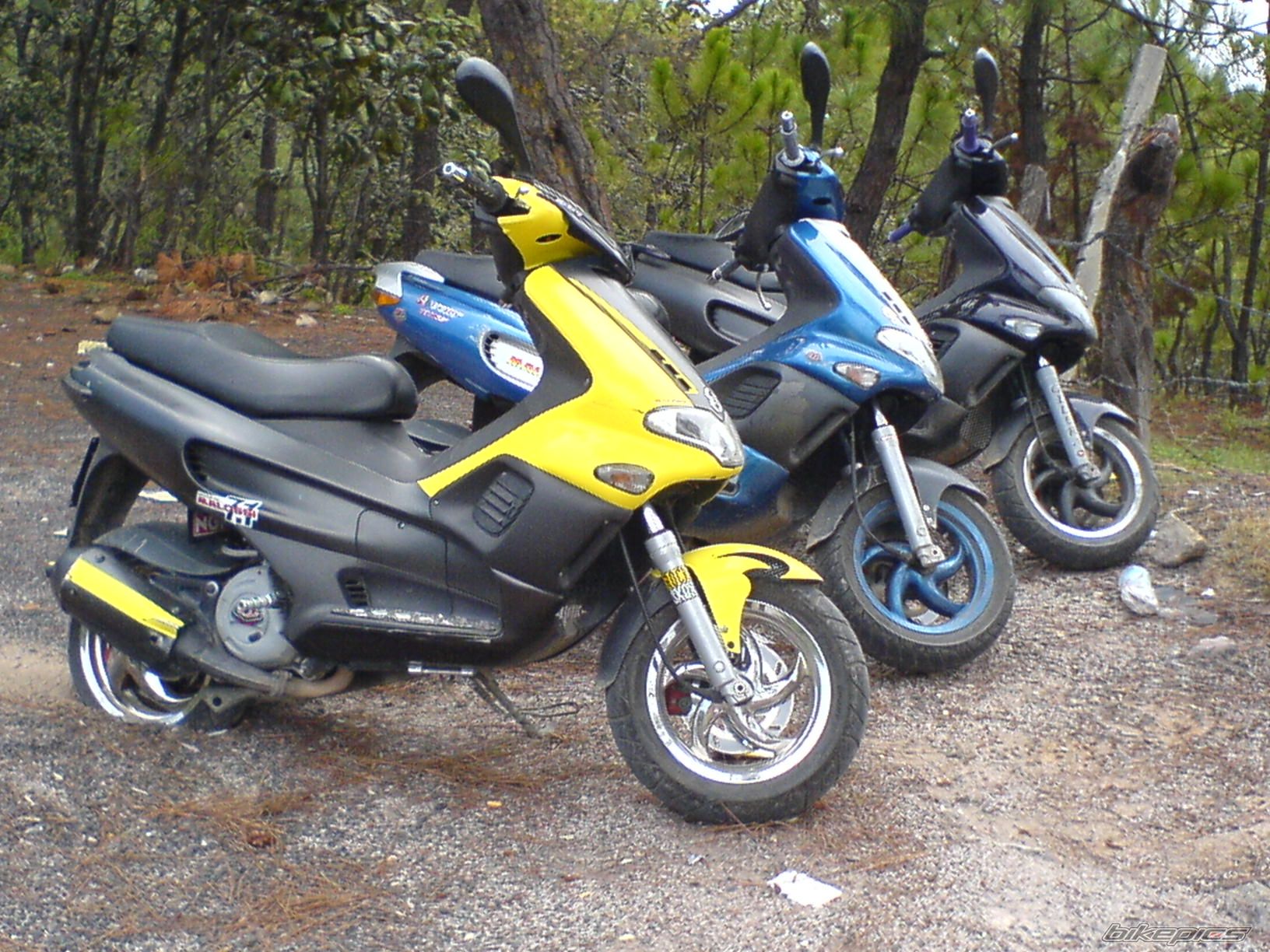 Bike Photo 710325