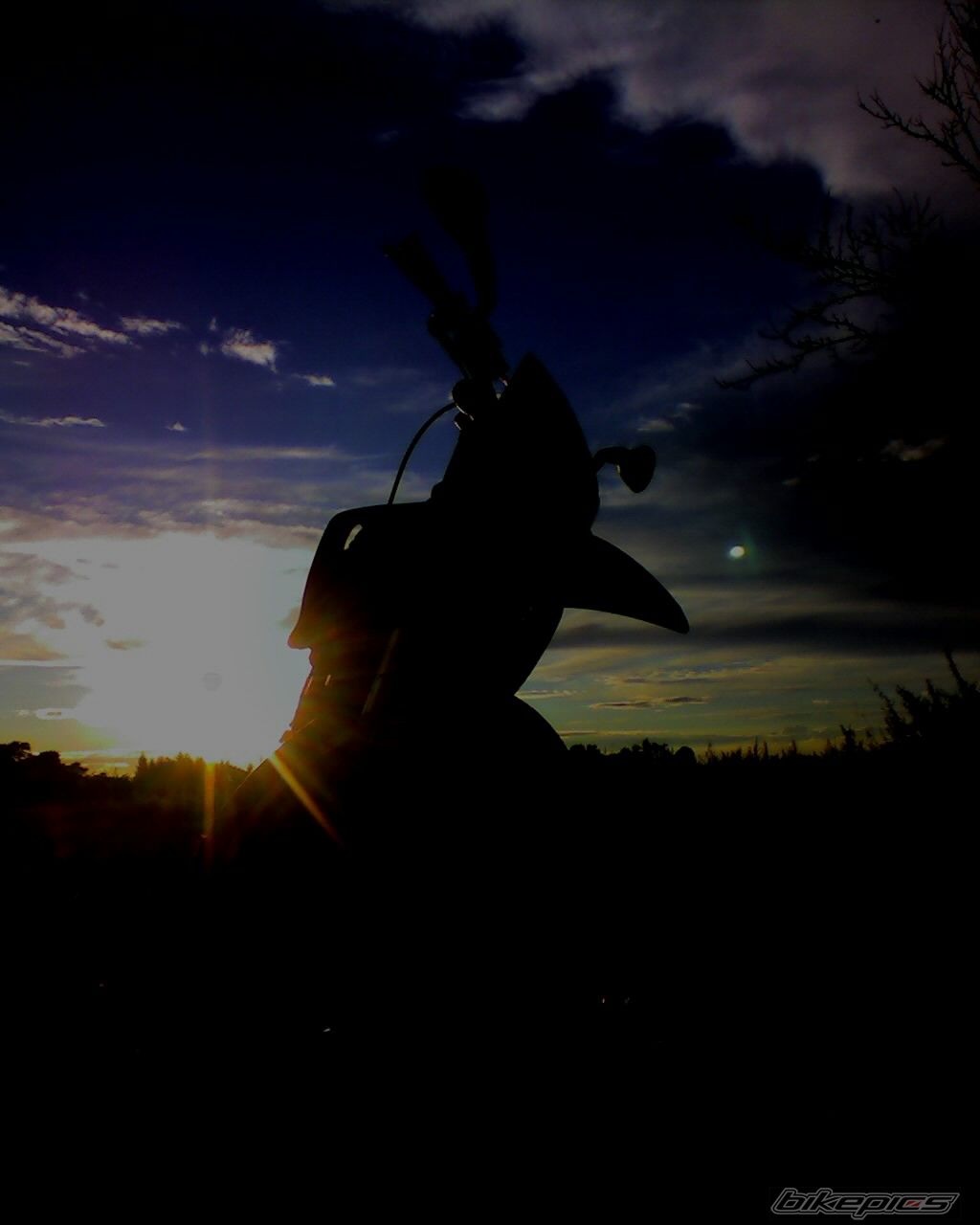 Photo 710478
