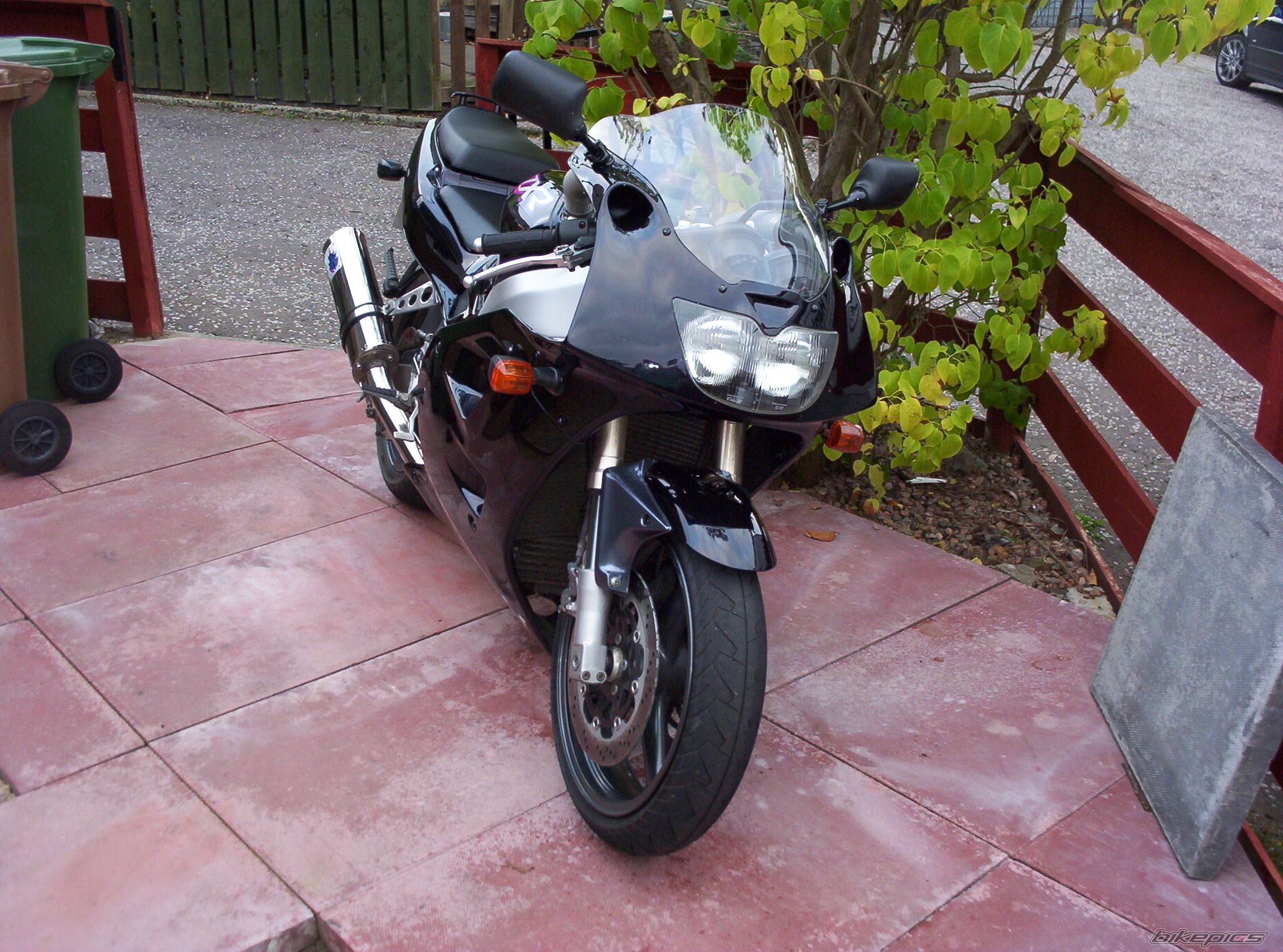 Photo 710483