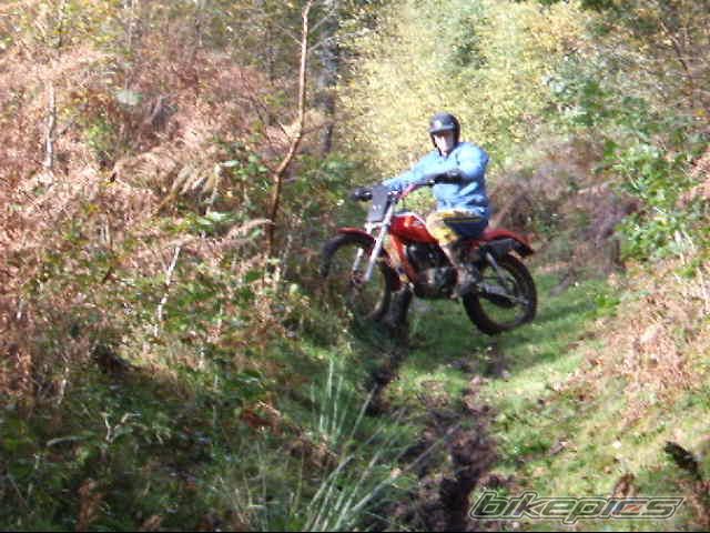 Photo 710495