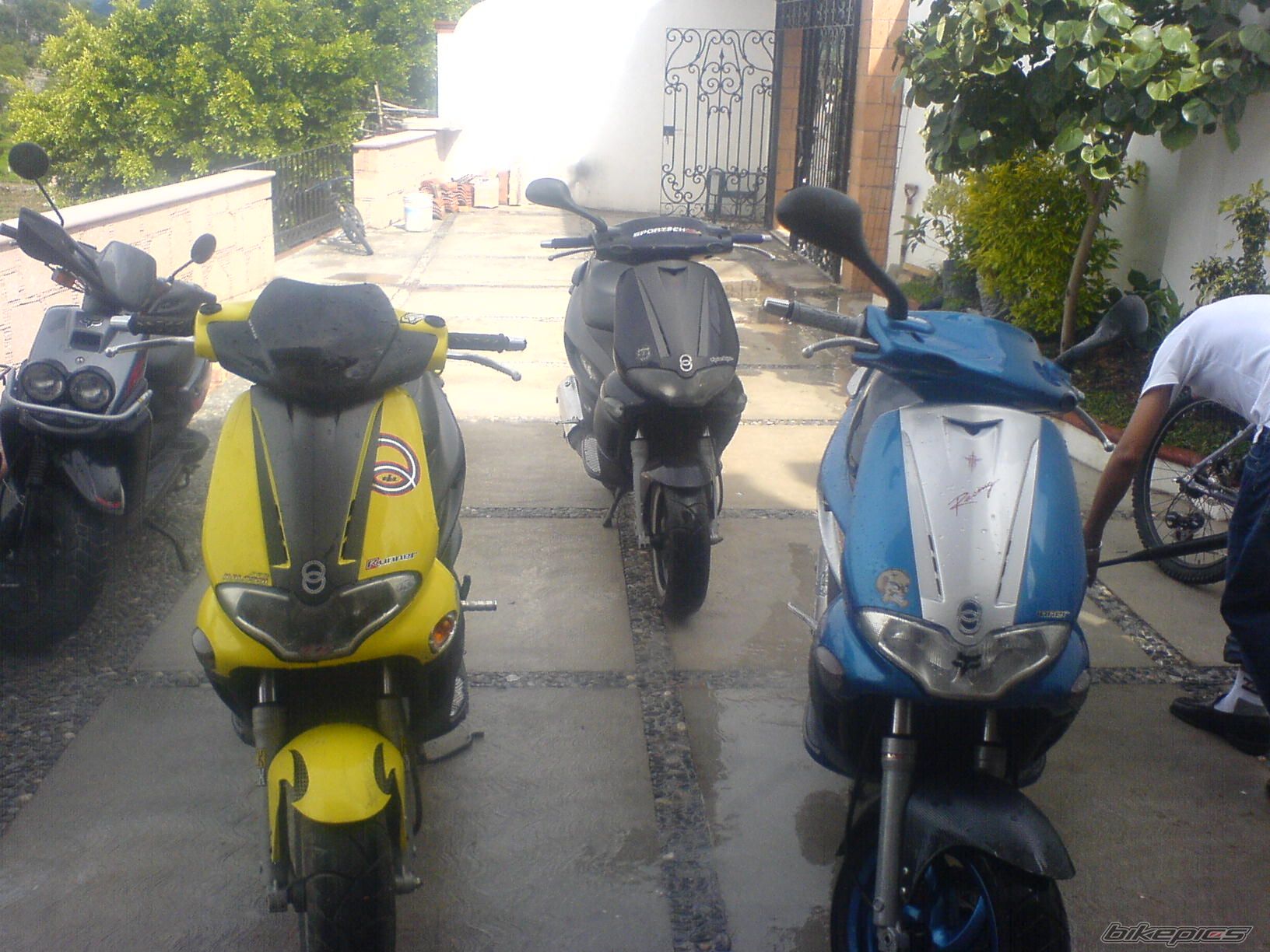 Photo 710557