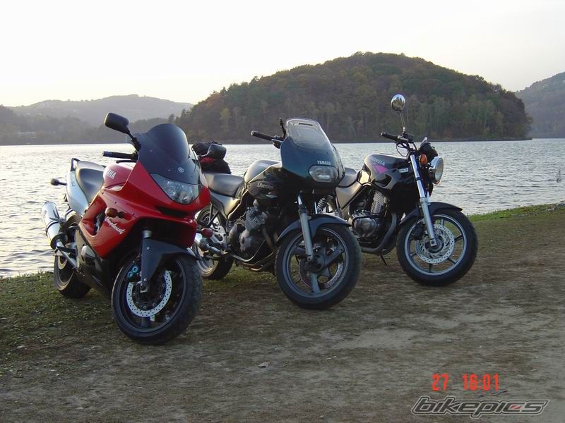 Photo 711023