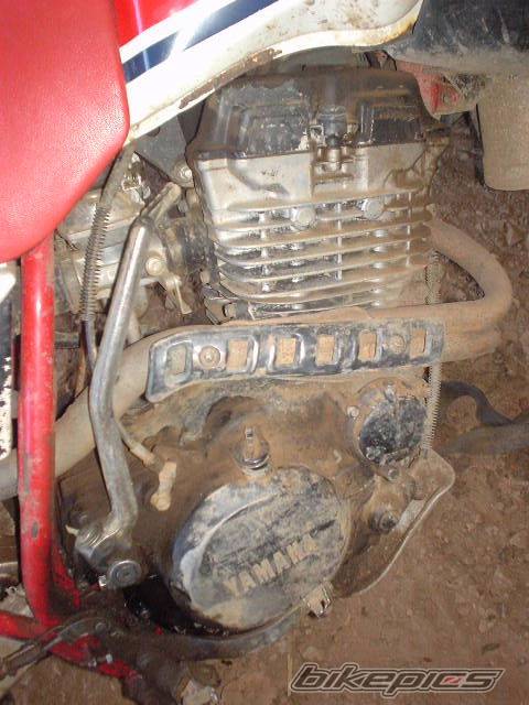 Bike Photo 71116