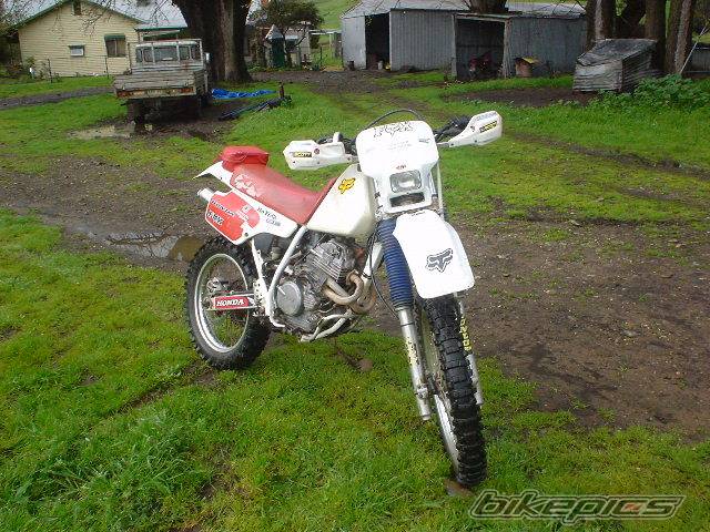 Photo 71121