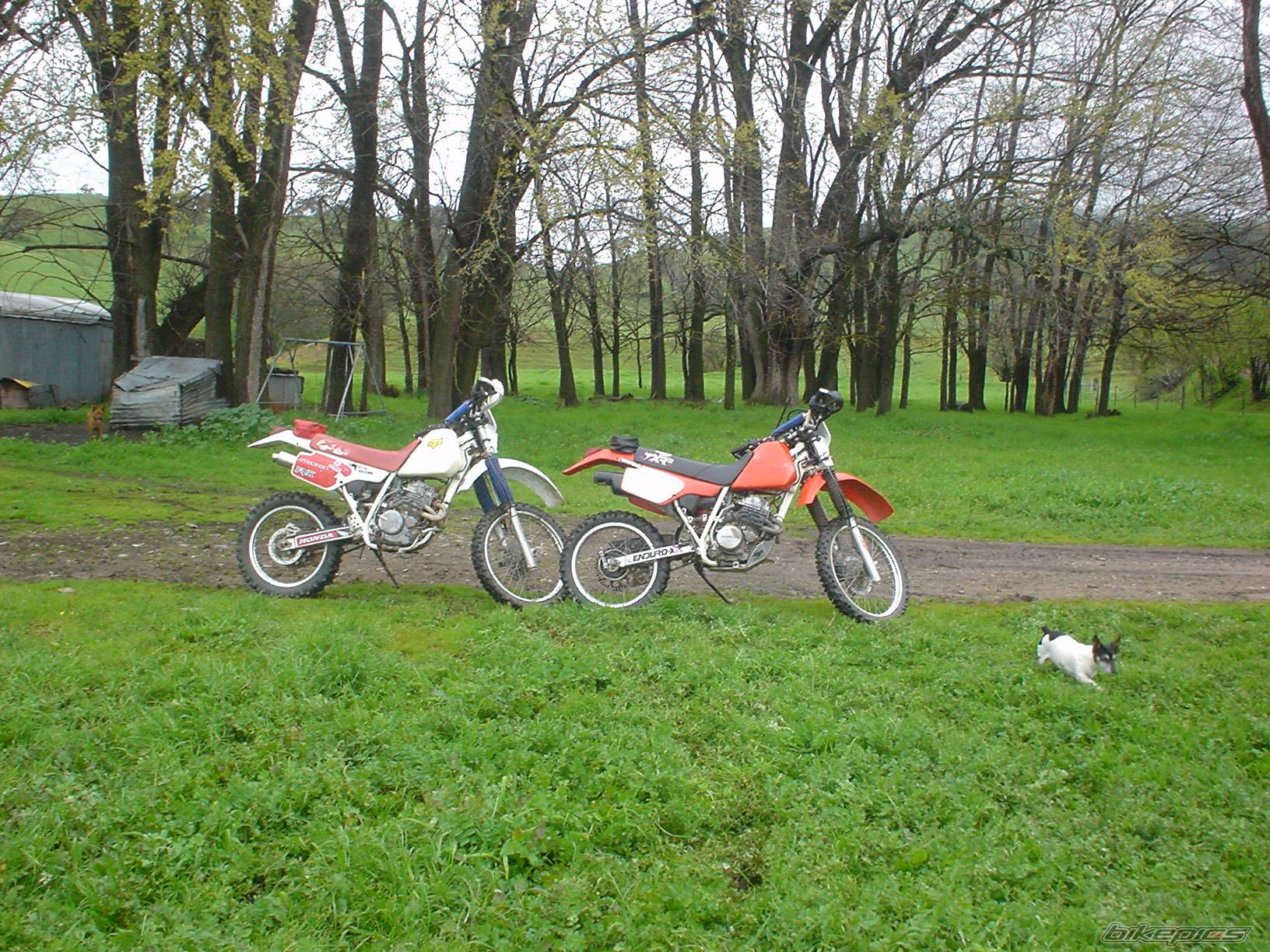 Photo 71128