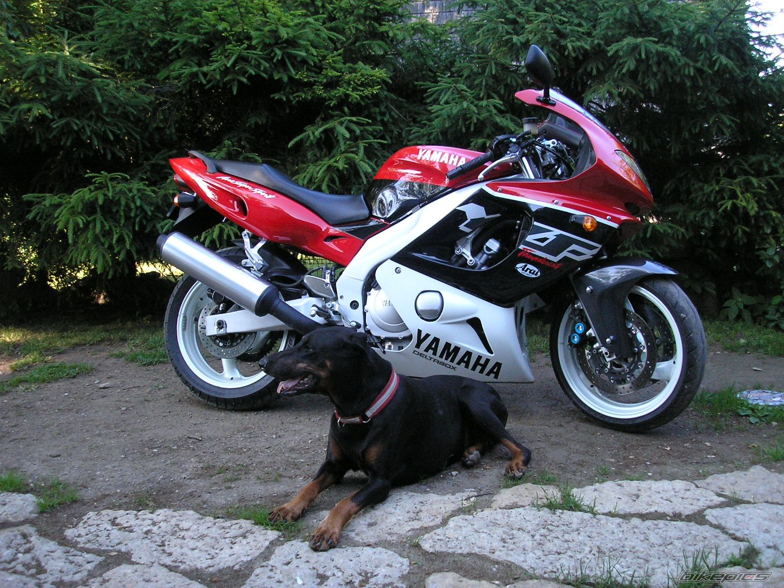 Bike Photo 711373