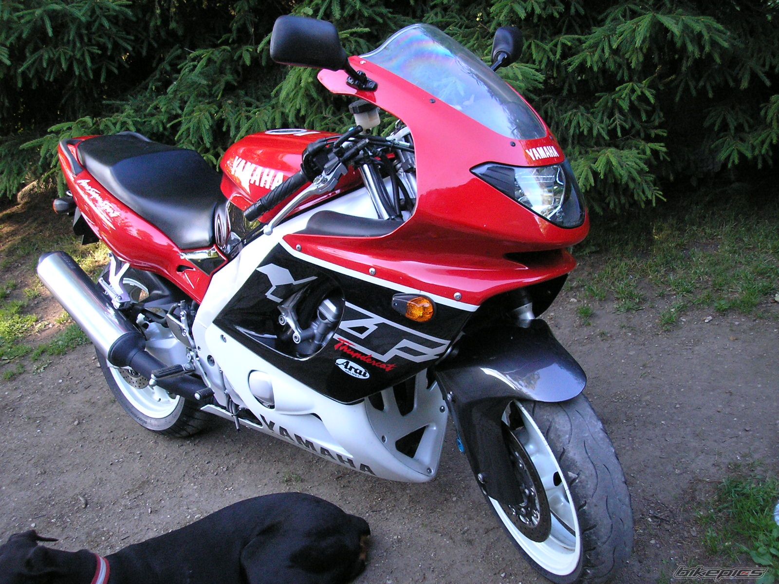 Bike Photo 711375