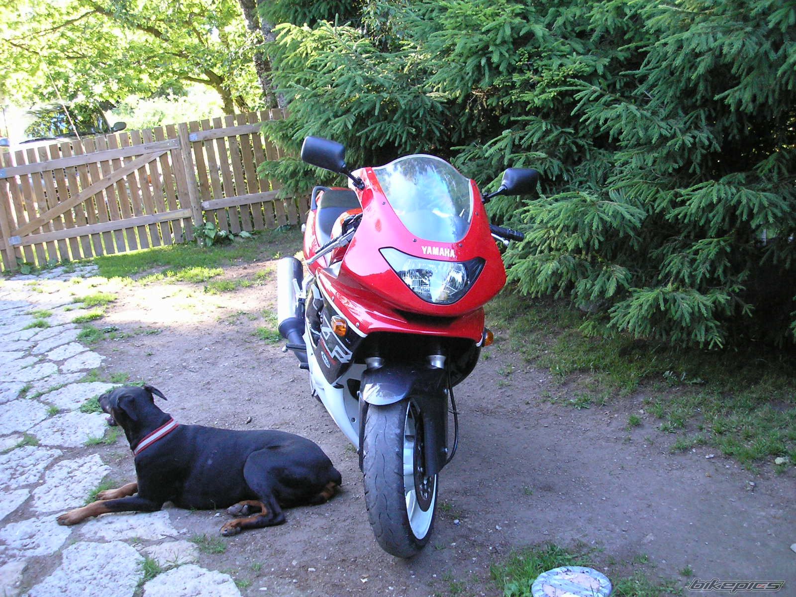 Bike Photo 711377