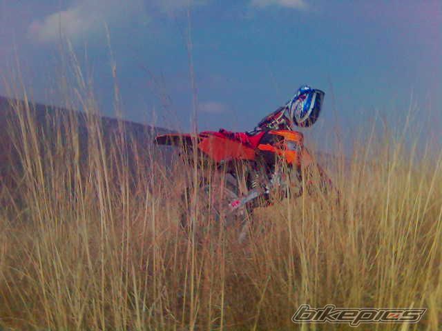 Photo 711706