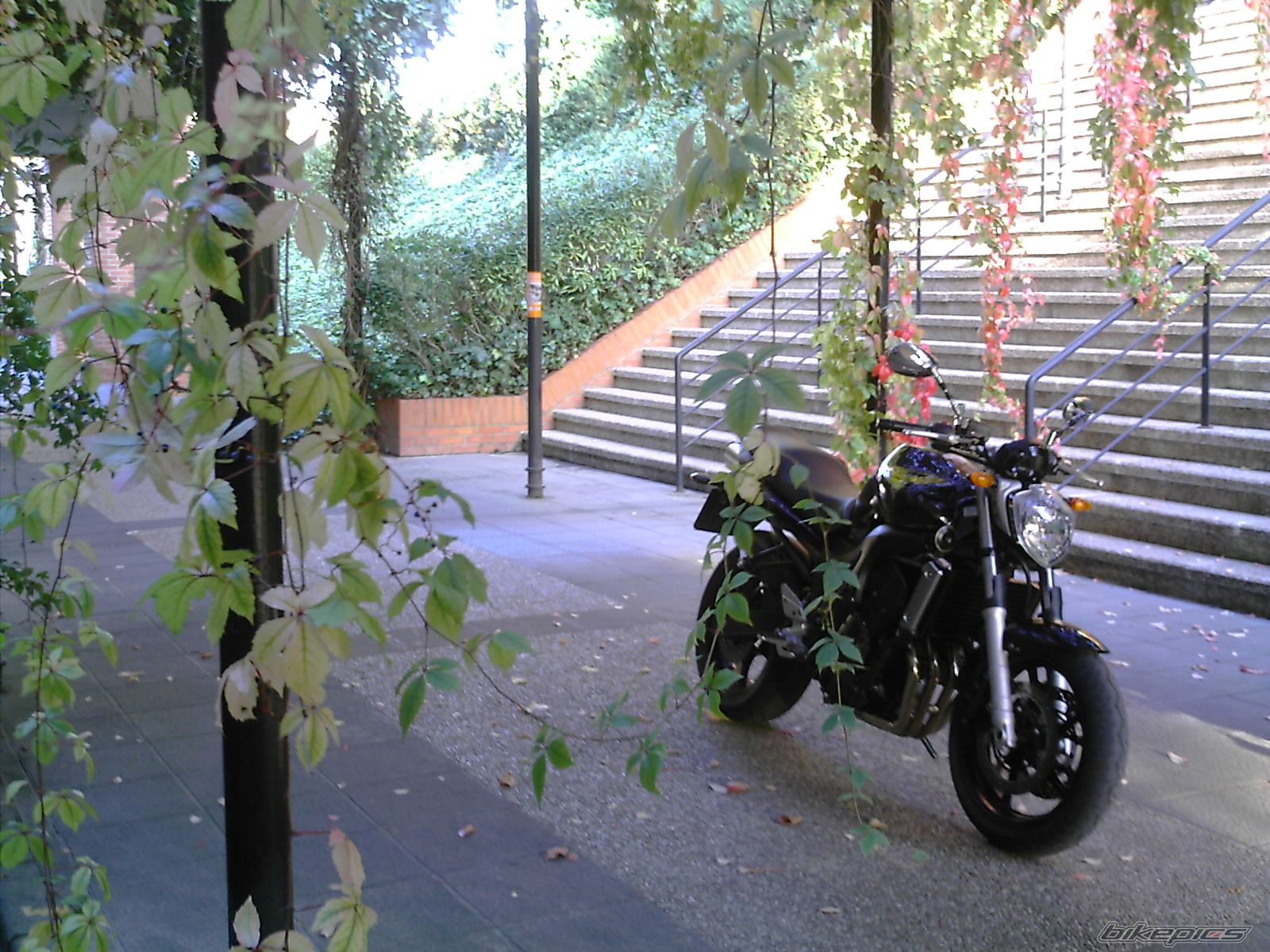 Bike Photo 712013