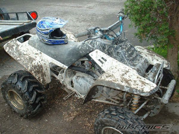 Photo 712087