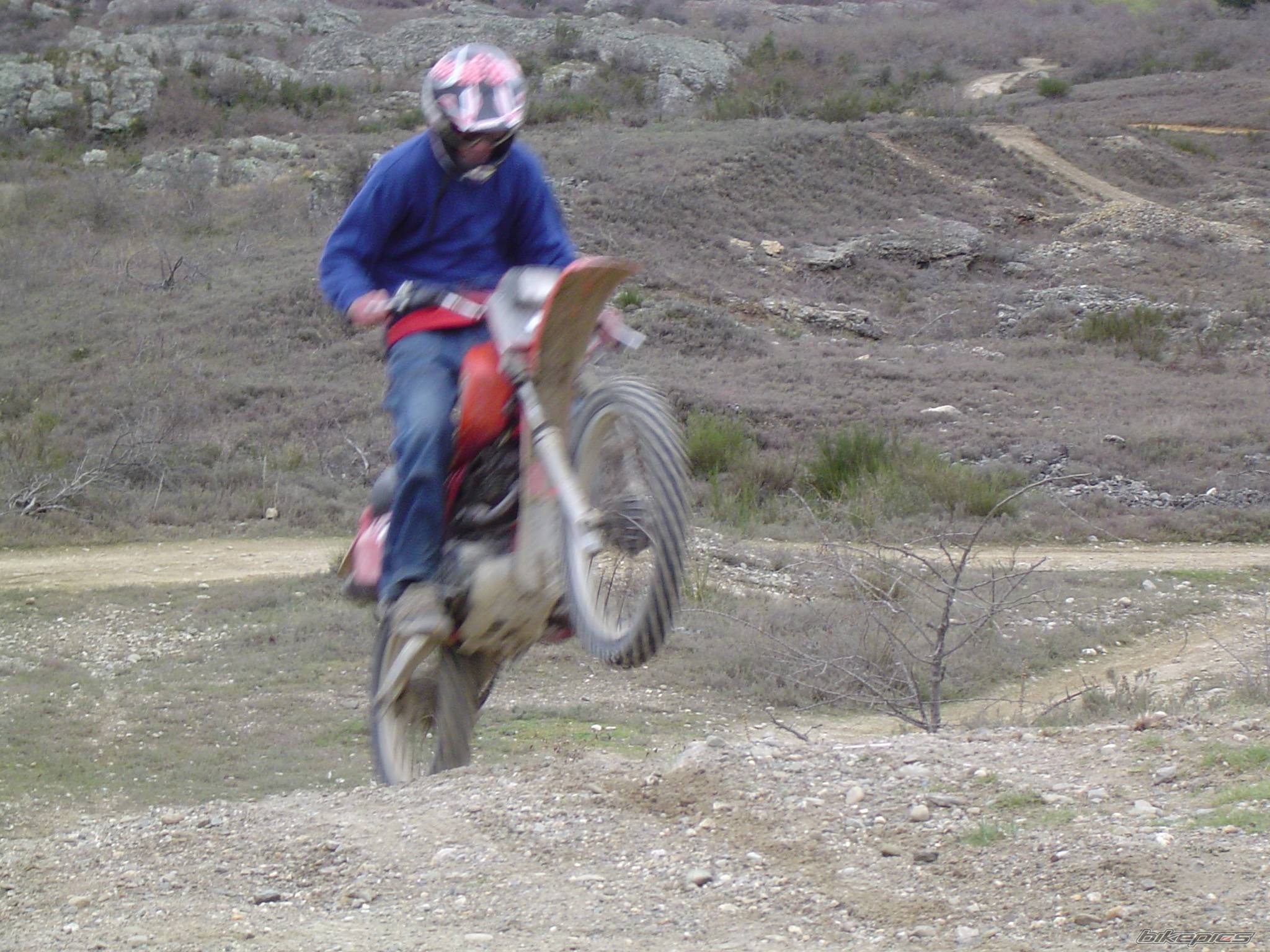 Photo 71217
