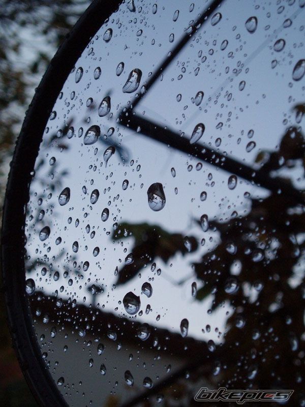 Photo 712483