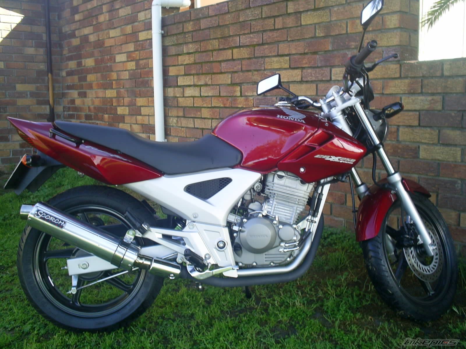 Bike Photo 713159