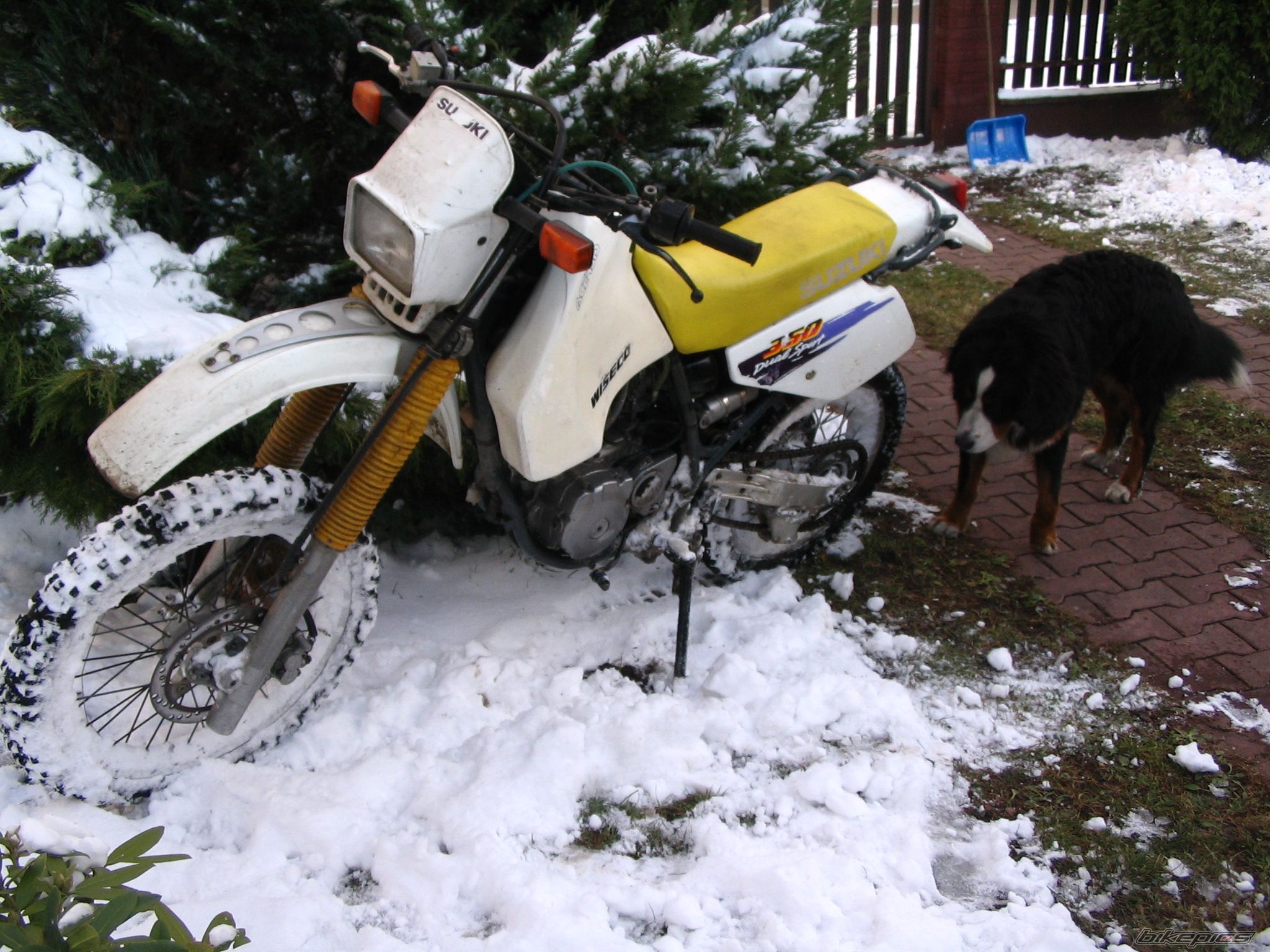 Photo 713418