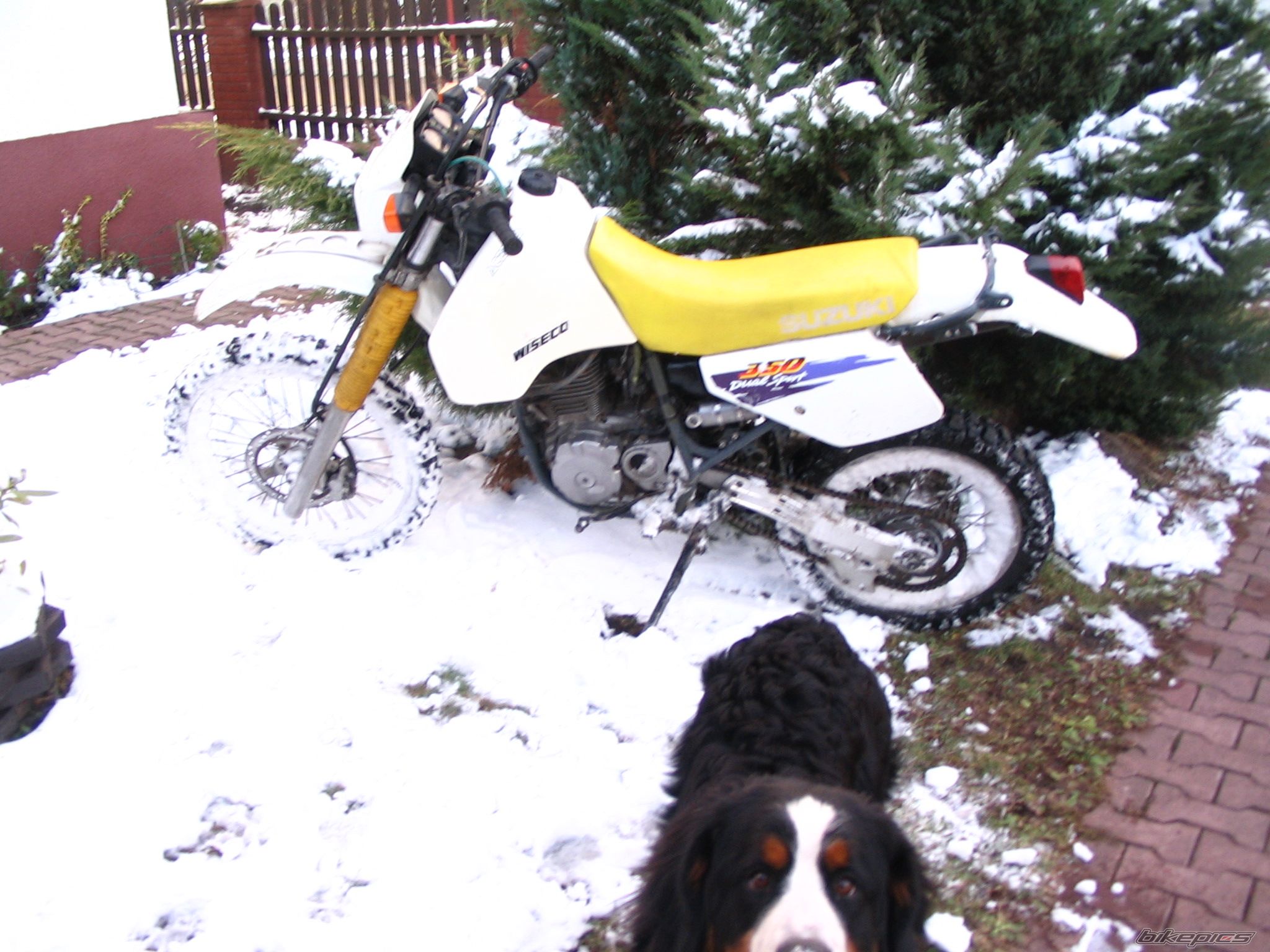 Bike Photo 713430