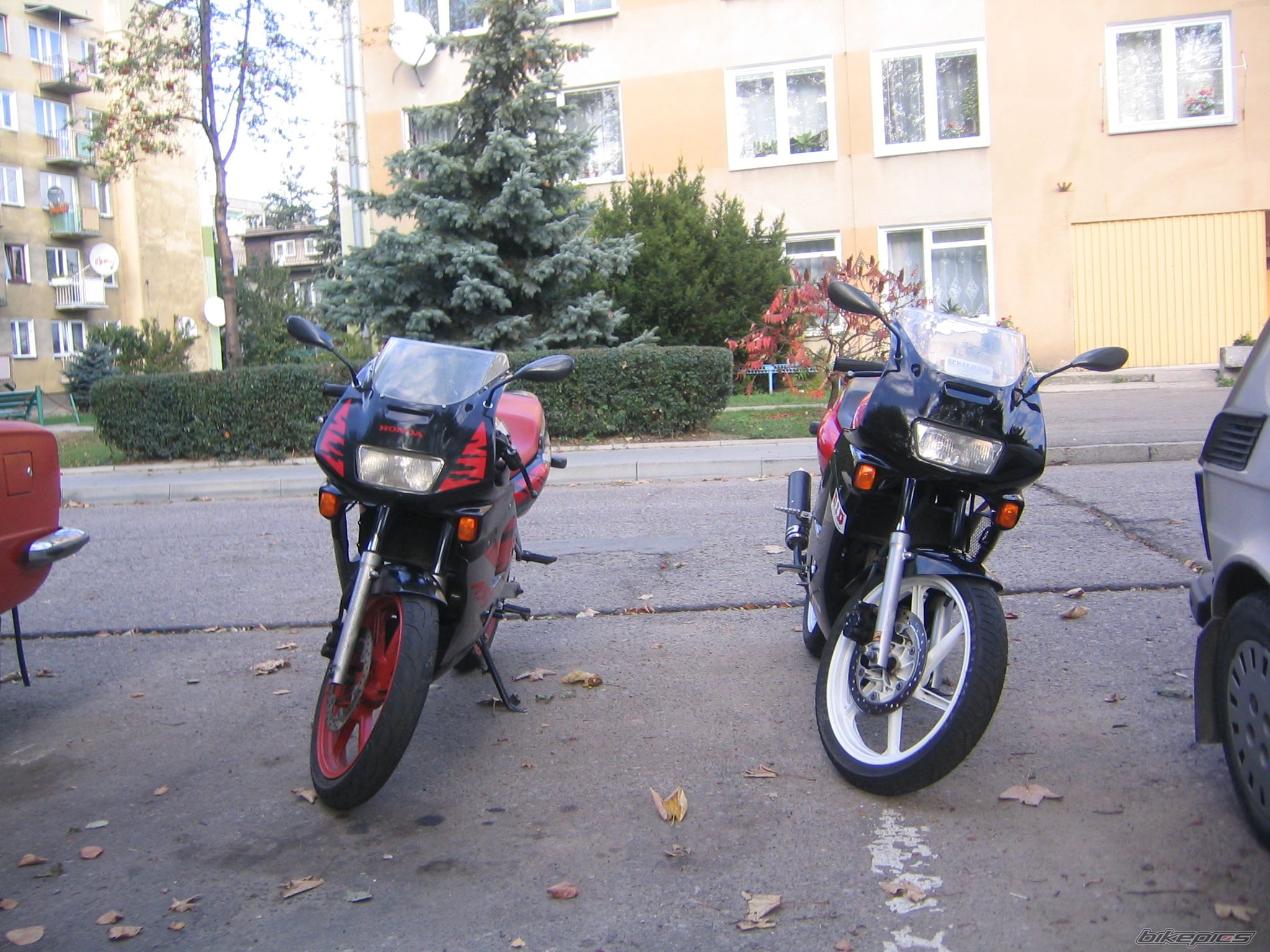 Photo 713705